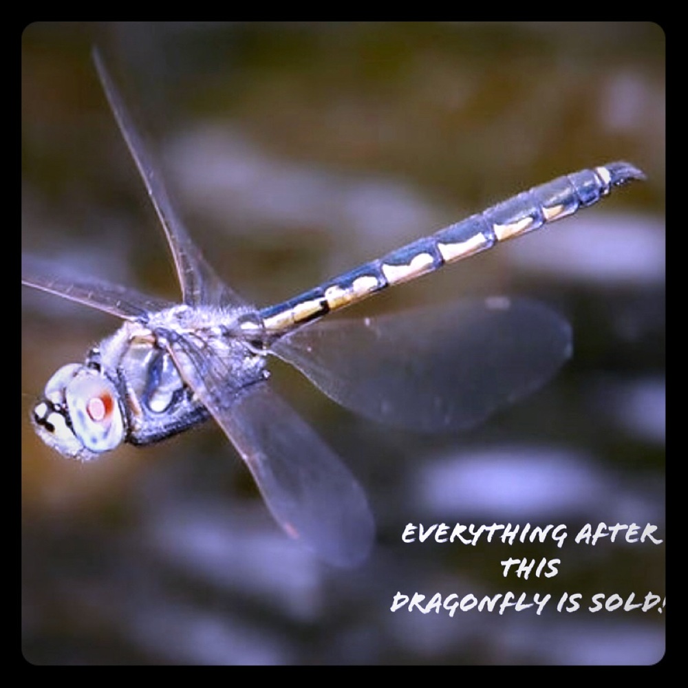 Everything past here is SOLD!